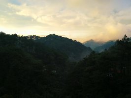 Myles monol游学纪录