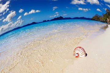 菲律宾游学四大热门城市比较