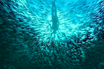 菲律宾游学四大热门城市