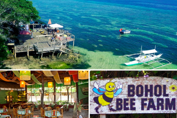 体验一场浪漫的蜂蜜农场萤火虫之旅吧！