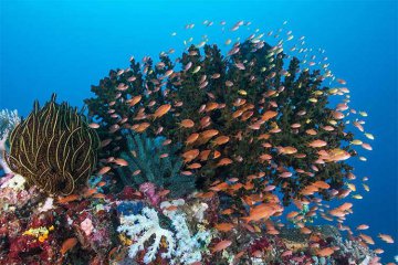 <b>菲律宾游学出行的注意事项</b>